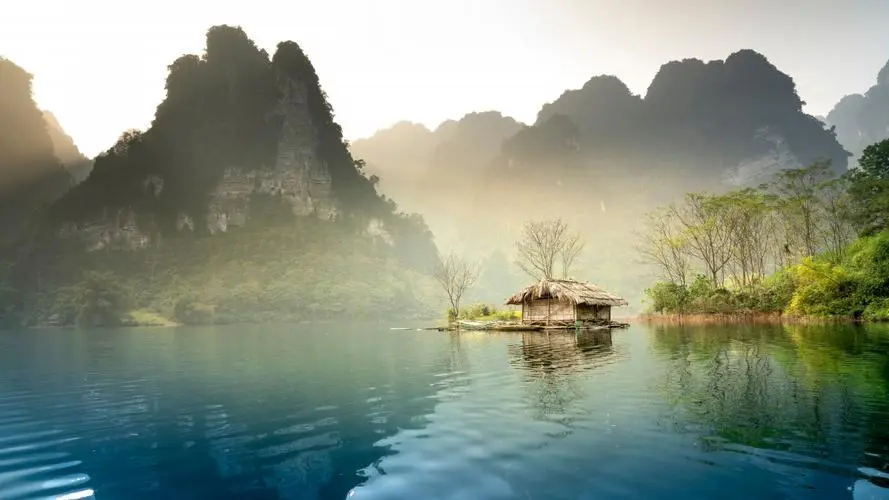 高性能全自动高效